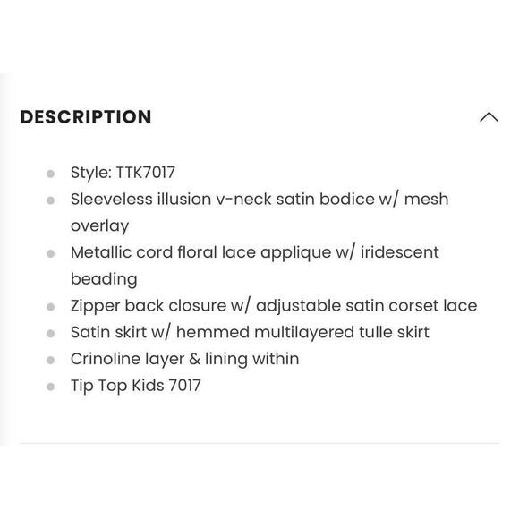 Tip Top Girls 12 Sleeveless Tulle Layer Formal Dress Gold Lace Applique Puffy - Picture 10 of 11